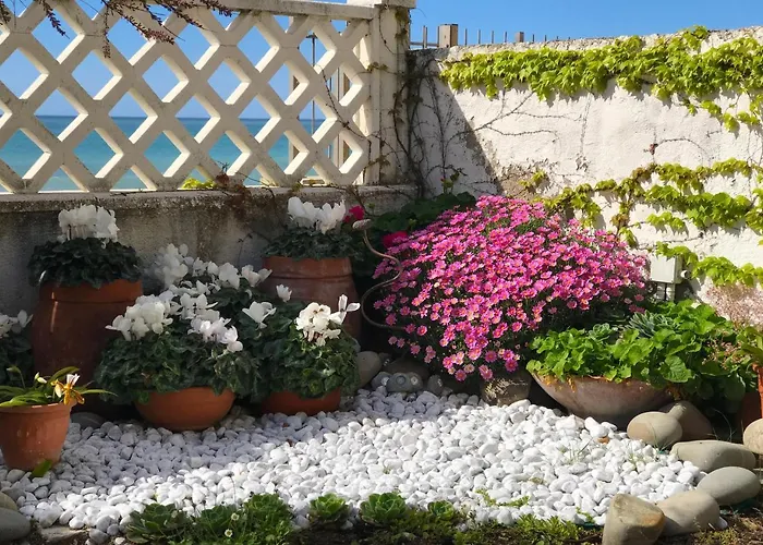 il giardino sul mare B&B